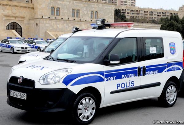 В Азербайджане приняты меры в отношении лица, жестоко обращавшегося с кошкой