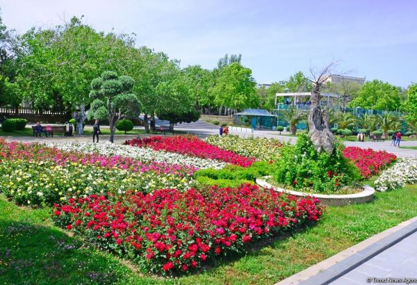 Бакинский бульвар после смягчения карантина (ФОТО)