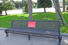 Бакинский бульвар после смягчения карантина (ФОТО)