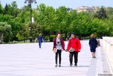 Бакинский бульвар после смягчения карантина (ФОТО)