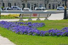 Бакинский бульвар после смягчения карантина (ФОТО)