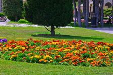 Бакинский бульвар после смягчения карантина (ФОТО)