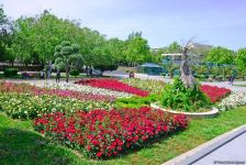 Бакинский бульвар после смягчения карантина (ФОТО)