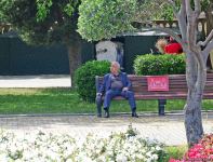 Бакинский бульвар после смягчения карантина (ФОТО)