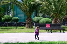 Бакинский бульвар после смягчения карантина (ФОТО)