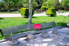 Бакинский бульвар после смягчения карантина (ФОТО)