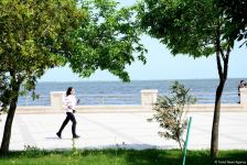 Бакинский бульвар после смягчения карантина (ФОТО)