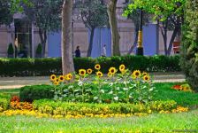 Бакинский бульвар после смягчения карантина (ФОТО)