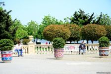 Бакинский бульвар после смягчения карантина (ФОТО)