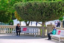 Бакинский бульвар после смягчения карантина (ФОТО)