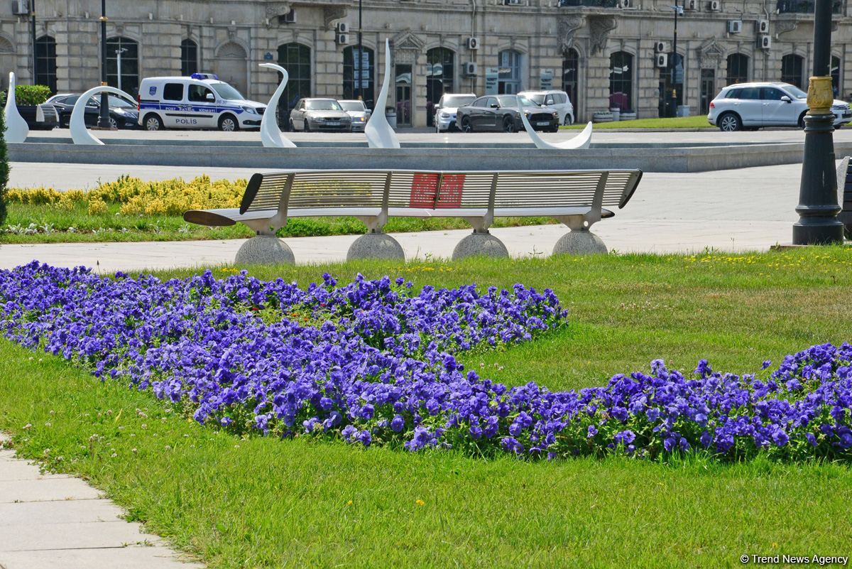 Бакинский бульвар после смягчения карантина (ФОТО)
