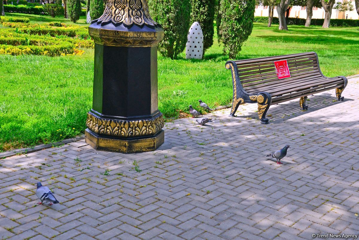 Бакинский бульвар после смягчения карантина (ФОТО)