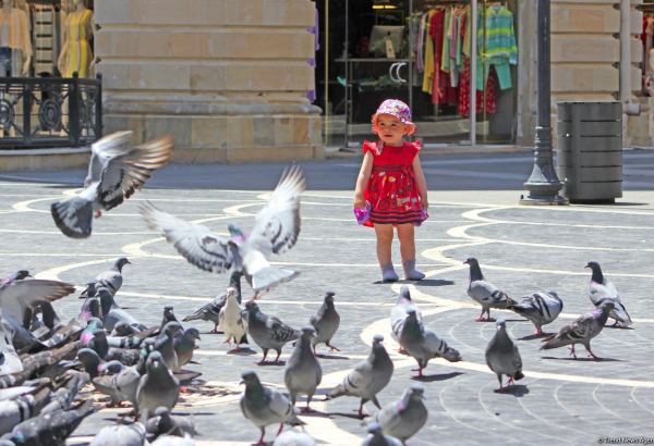 В Азербайджане будет разработан Детский кодекс