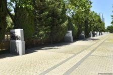 Бакинский бульвар перенесет вас в прошлое - представлены эксклюзивные фото