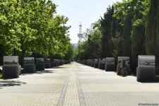 Бакинский бульвар перенесет вас в прошлое - представлены эксклюзивные фото