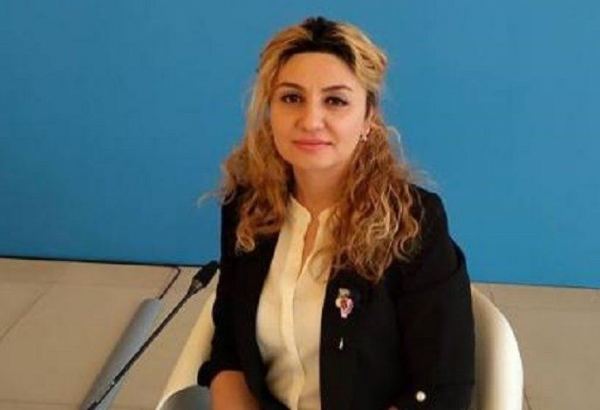 Минэнерго о правовых аспектах проведения газопровода между Турцией и Нахчываном