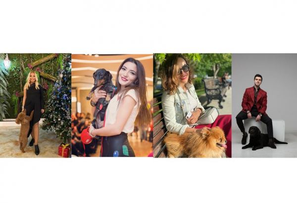 В свете карантина! У кого из азербайджанских звезд есть собаки (ФОТО)