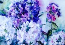 Бакинская акварель российской художницы: C вашими земляками наш север стал ярче - интервью  (ФОТО)