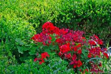 Нагорный парк Баку - взгляд на Каспий, бульвар и столицу  (ФОТО)