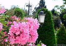 Нагорный парк Баку - взгляд на Каспий, бульвар и столицу  (ФОТО)