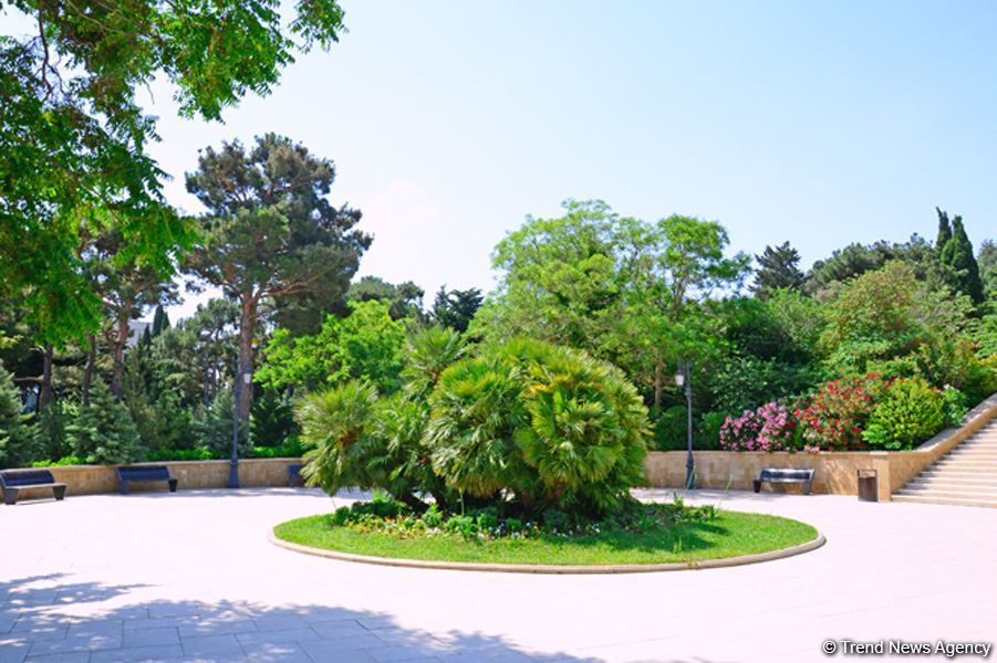 Нагорный парк Баку - взгляд на Каспий, бульвар и столицу  (ФОТО)
