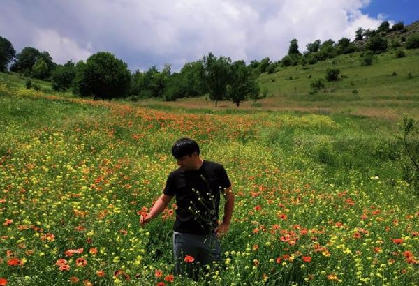 Летом в Гедабеке - красота природы (ФОТО)