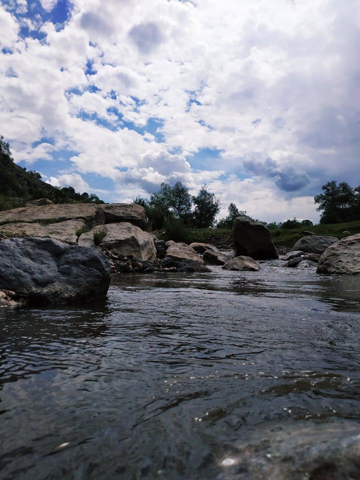 Летом в Гедабеке - красота природы (ФОТО)