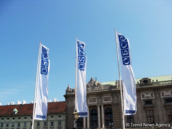 ОБСЕ "подготовила" отчет до окончания парламентских выборов в Азербайджане