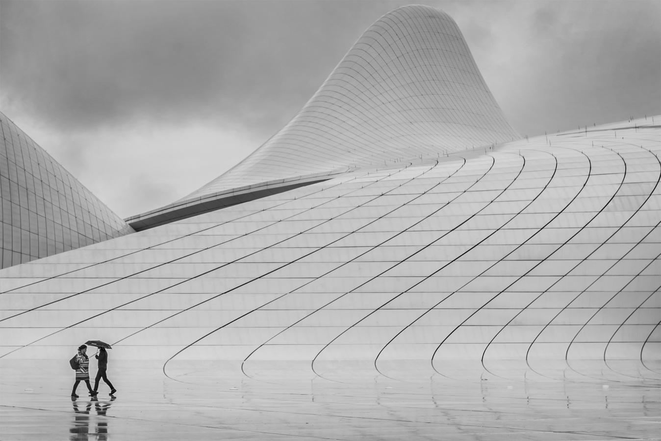 Определились победители международного конкурса Azerbaijan Photo Salon 2020 (ФОТО)