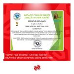 День мореходства в Турции с виртуальными азербайджанскими танцами (ВИДЕО, ФОТО)