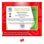 День мореходства в Турции с виртуальными азербайджанскими танцами (ВИДЕО, ФОТО)