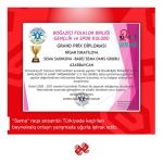 День мореходства в Турции с виртуальными азербайджанскими танцами (ВИДЕО, ФОТО)