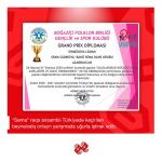 День мореходства в Турции с виртуальными азербайджанскими танцами (ВИДЕО, ФОТО)