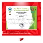 День мореходства в Турции с виртуальными азербайджанскими танцами (ВИДЕО, ФОТО)