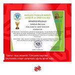 День мореходства в Турции с виртуальными азербайджанскими танцами (ВИДЕО, ФОТО)