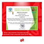 День мореходства в Турции с виртуальными азербайджанскими танцами (ВИДЕО, ФОТО)