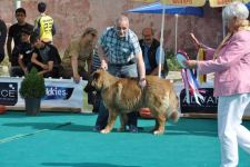 Скончался один из основателей азербайджанского рока Чингиз Адиб (ВИДЕО, ФОТО)