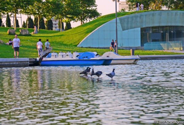 Оазис в центре Баку - под открытым небом у озера с синеватой чистой водой (ФОТО)