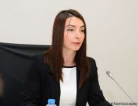 Хикмет Гаджиев: Провокация Армении неслучайна и была спланирована (ФОТО)