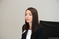 Хикмет Гаджиев: Провокация Армении неслучайна и была спланирована (ФОТО)