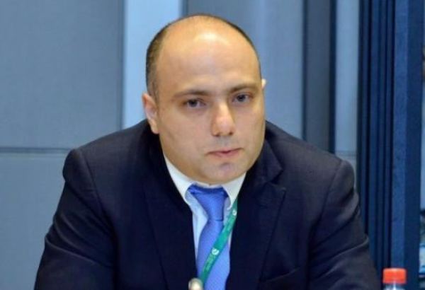 Минкультуры: В Азербайджане должна быть разработана Стратегия по культуре