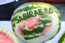 День арбуза в Азербайджане – ягода в 119 кг, соревнование по разбиванию арбузов головой (ВИДЕО, ФОТО)