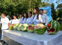 День арбуза в Азербайджане – ягода в 119 кг, соревнование по разбиванию арбузов головой (ВИДЕО, ФОТО)