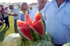 День арбуза в Азербайджане – ягода в 119 кг, соревнование по разбиванию арбузов головой (ВИДЕО, ФОТО)