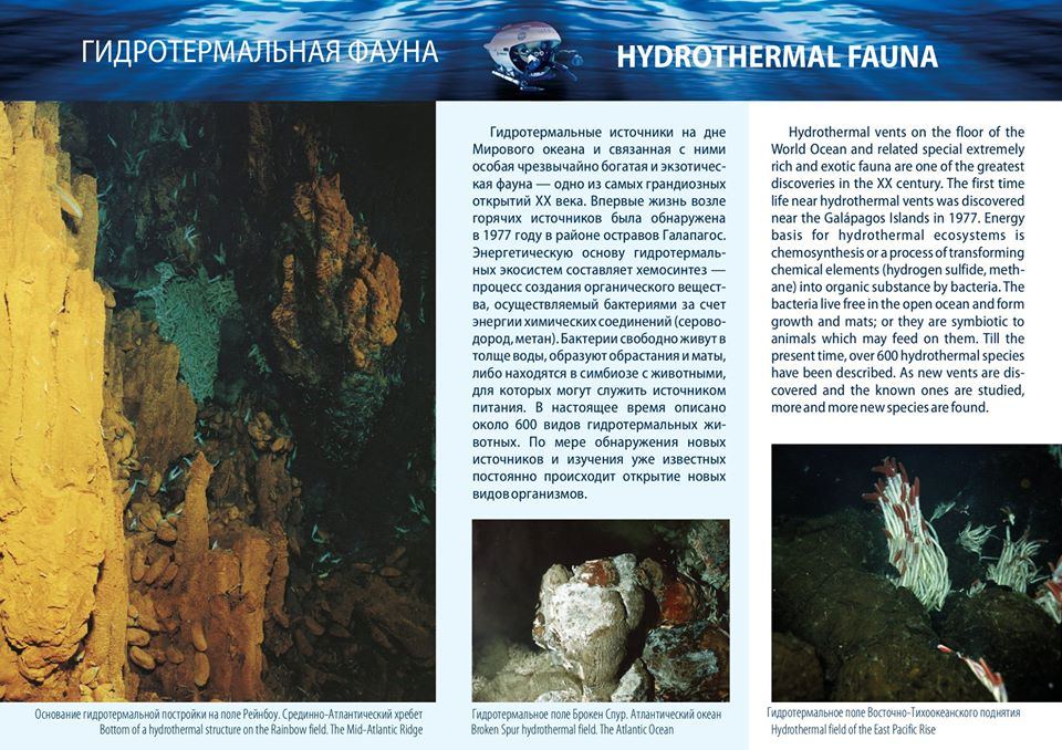 Одиссея МИРов в Баку (ФОТО)