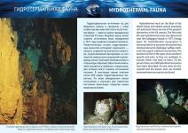 Одиссея МИРов в Баку (ФОТО)