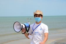 После смягчения карантина население устремилось на пляжи - Фоторепортаж с пляжа в Пиршаги