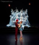 Тар из Азербайджана подарили Мариинскому театру:  Потрясающая  премьера "Тысячи и одной ночи" (ФОТО)