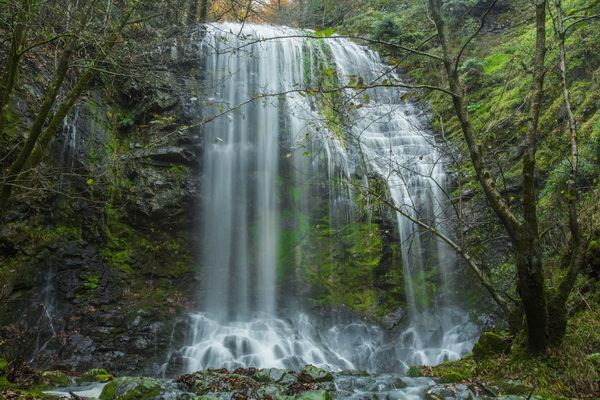 В Баку награждены победители конкурса "Это моя Родина!" (ФОТО)
