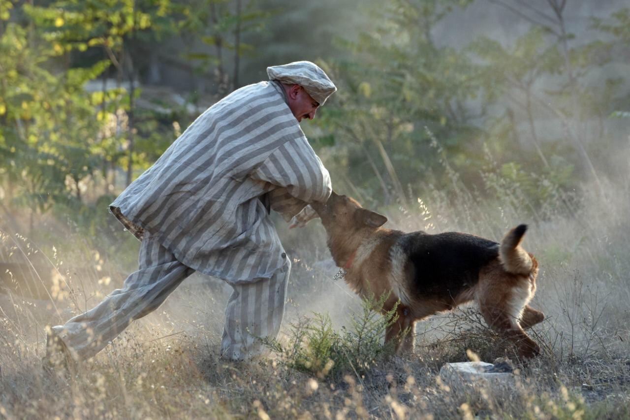 В Азербайджане снимается фильм о легендарном партизане Ахмедие Джабраилове (ФОТО)